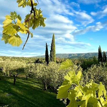 Bed and Breakfast Provence Km28 Горд Екстер'єр фото