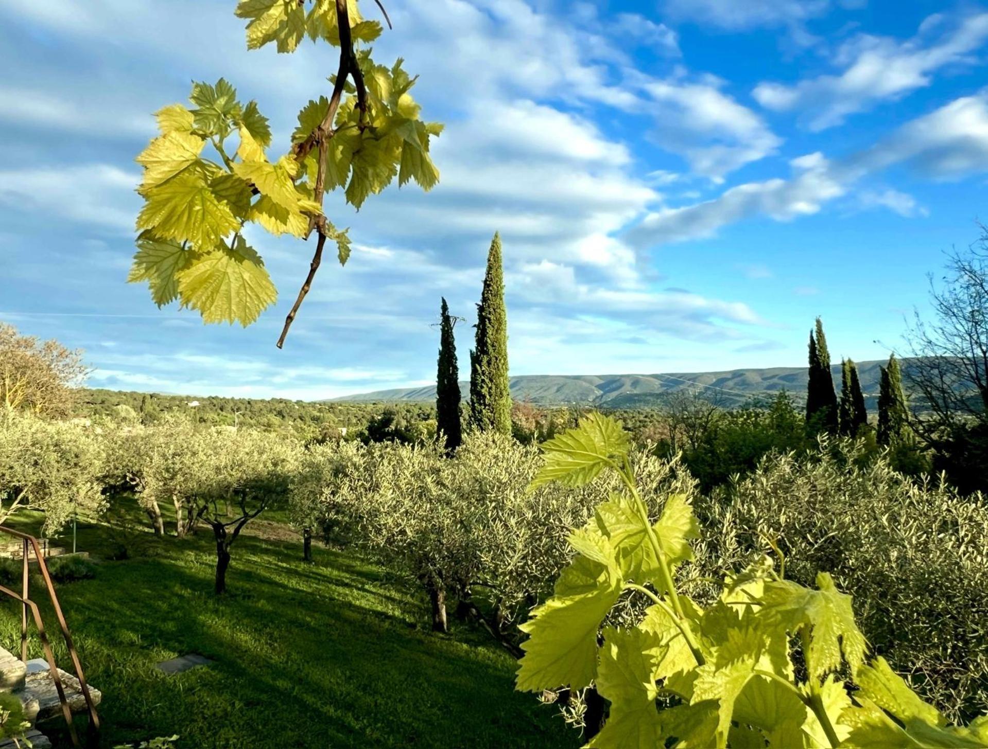 Bed and Breakfast Provence Km28 Горд Екстер'єр фото