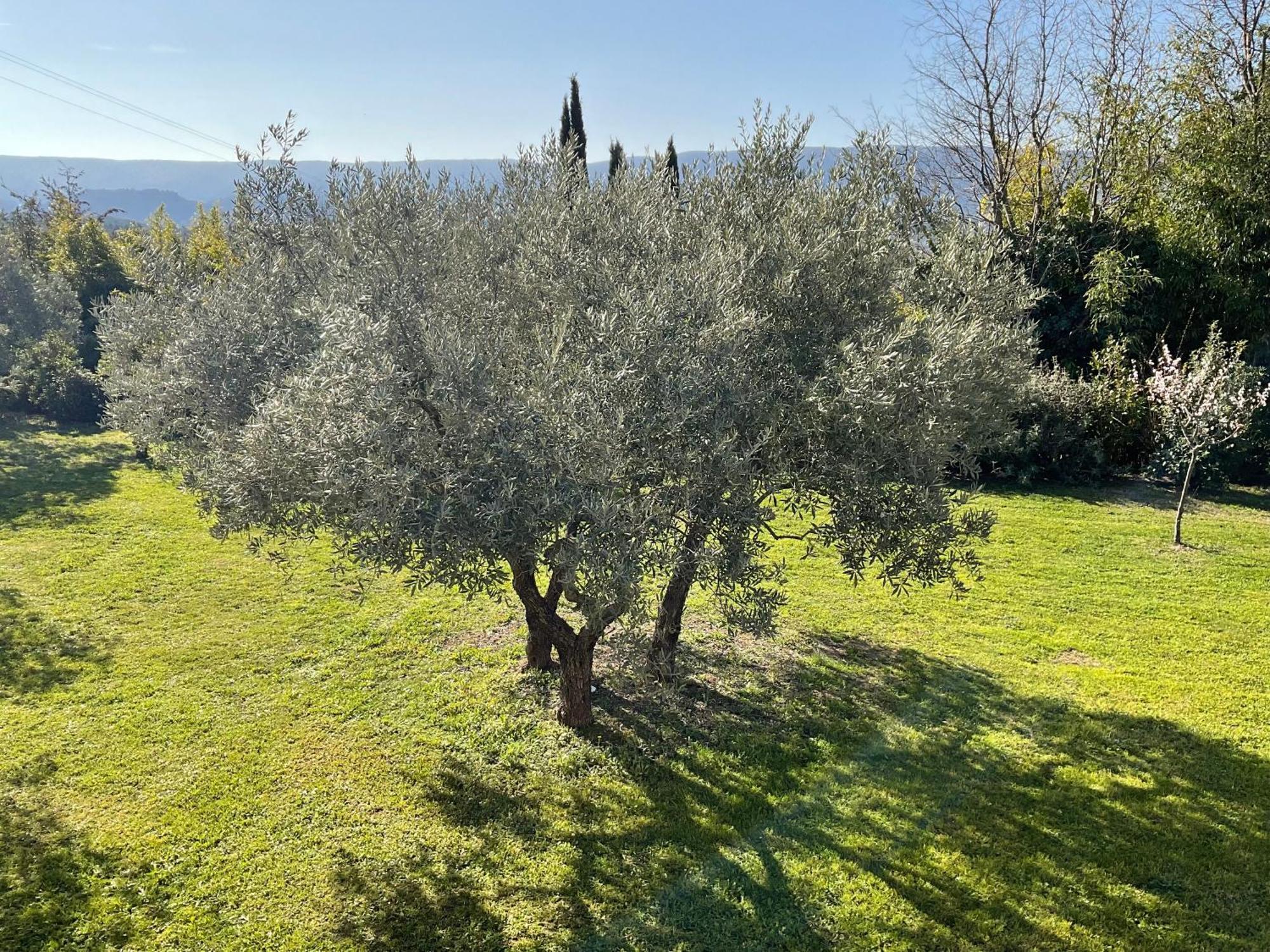 Bed and Breakfast Provence Km28 Горд Екстер'єр фото